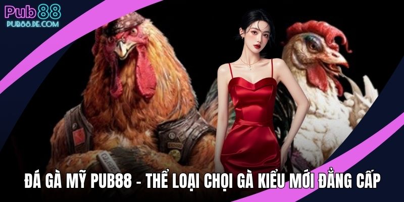 Đá gà Mỹ PUB88